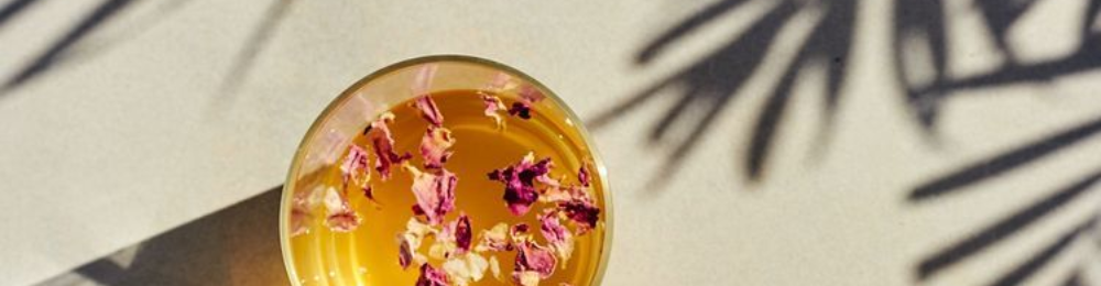 spiritueux sans alcool, alternative plus saine, avec du verjus qui ne fait pas de désalcoolisation