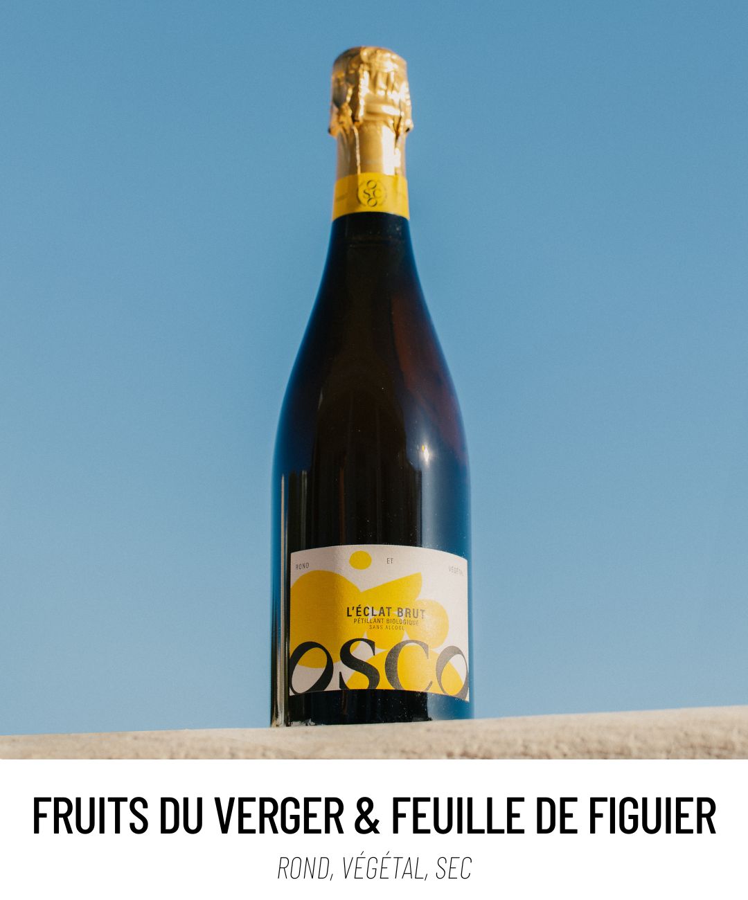 Un pétillant sans alcool qui vous fait voyager sous le soleil Méditerranéen. Ses notes de fruits du verger et de feuilles de figuier sont soutenues par la tension du verjus et prolongées de légers tanins Sa faible teneur en sucre et ses bulles fines vous feront chavirer !