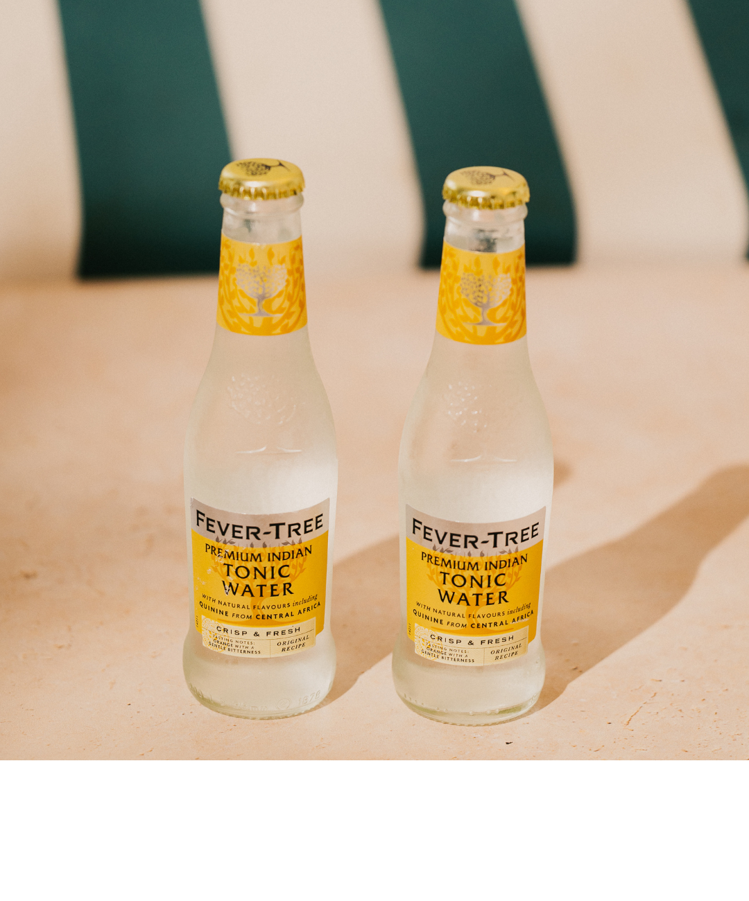 Premium Indian tonic fever tree 2 bouteilles pour réaliser des succulent OSCO Tonic
