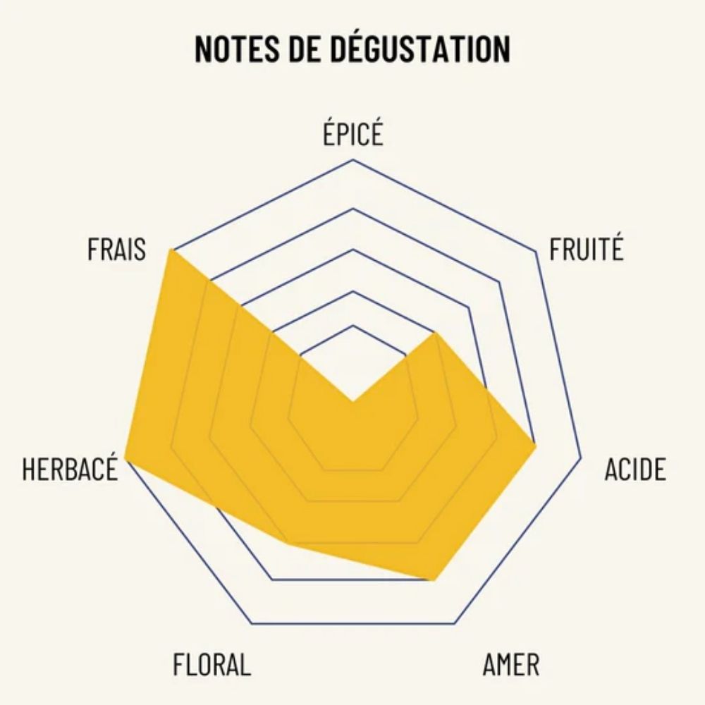 Profil aromatique de dégustation de l’apéritif sans alcool OSCO L’Original frais, herbacé et amer