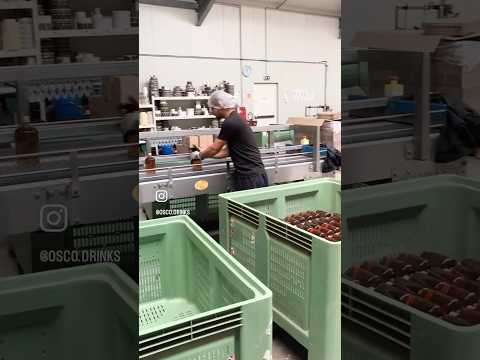 Chez OSCO, pas désalcoolisation, mais simplement l'assemblage d'ingrédients naturels et sans alcool pour obtenir une boisson biologique aux saveurs intenses et complexes. Siroter un cocktail sans alcool OSCO, c'est voyager grâce à son exploration gustative unique : attaque acidulée du verjus, complexité aromatique de nos savants dosages de plantes et épices et une finale inimitable de gentiane pour une belle longueur en bouche.